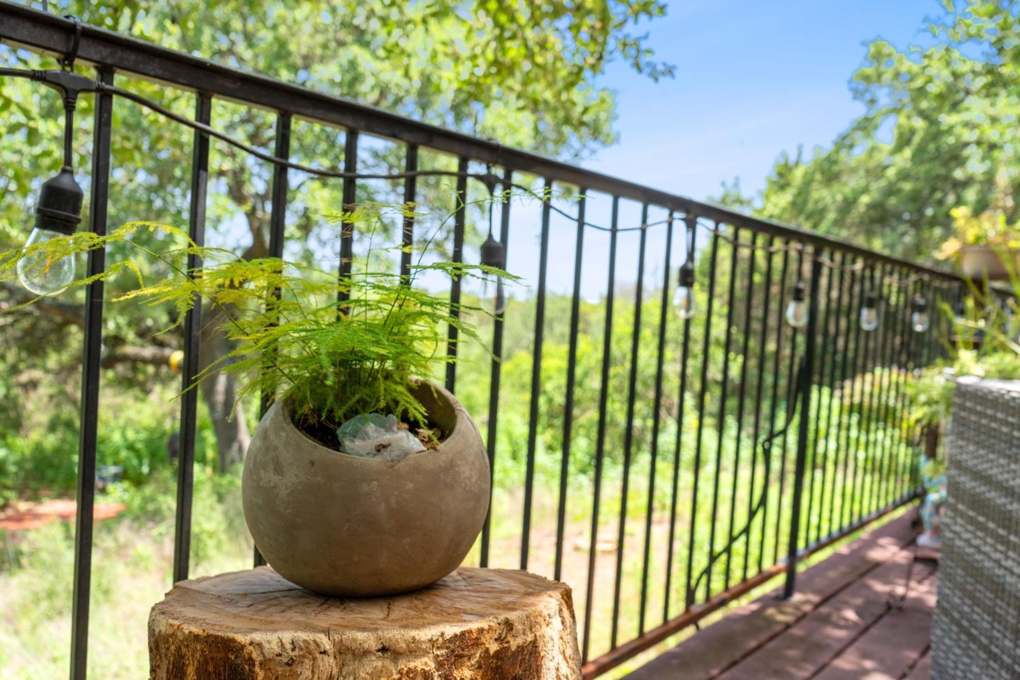 Magical Austin Hobbit House Villa Exterior photo